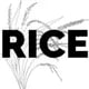 rice illustration