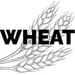 wheat