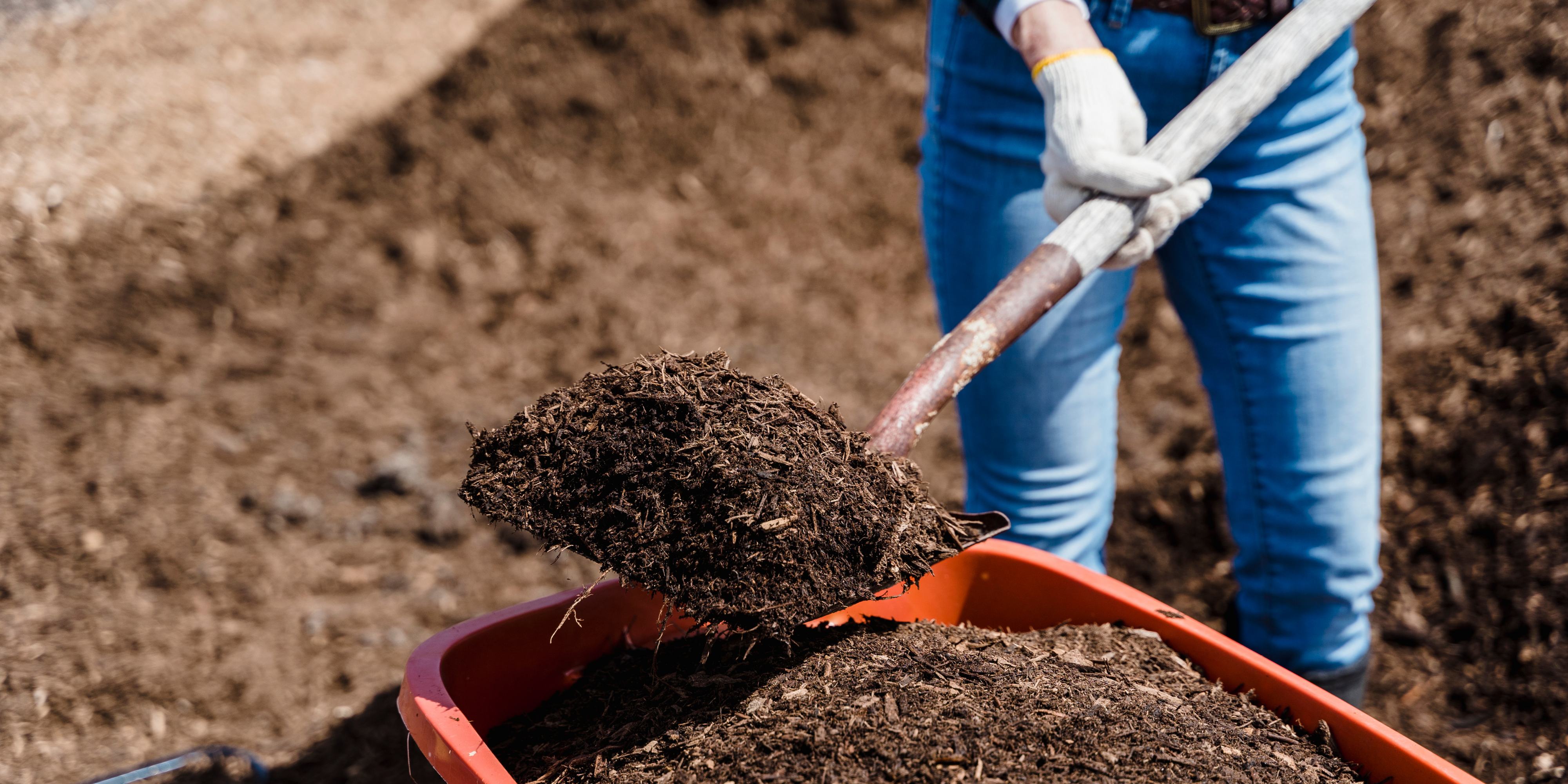 person scooping soil