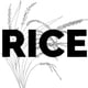 rice clip art