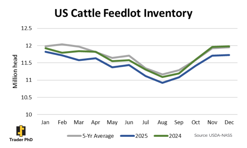 Usda Data Shows Lower Placements And Record High Feedlot Inventory