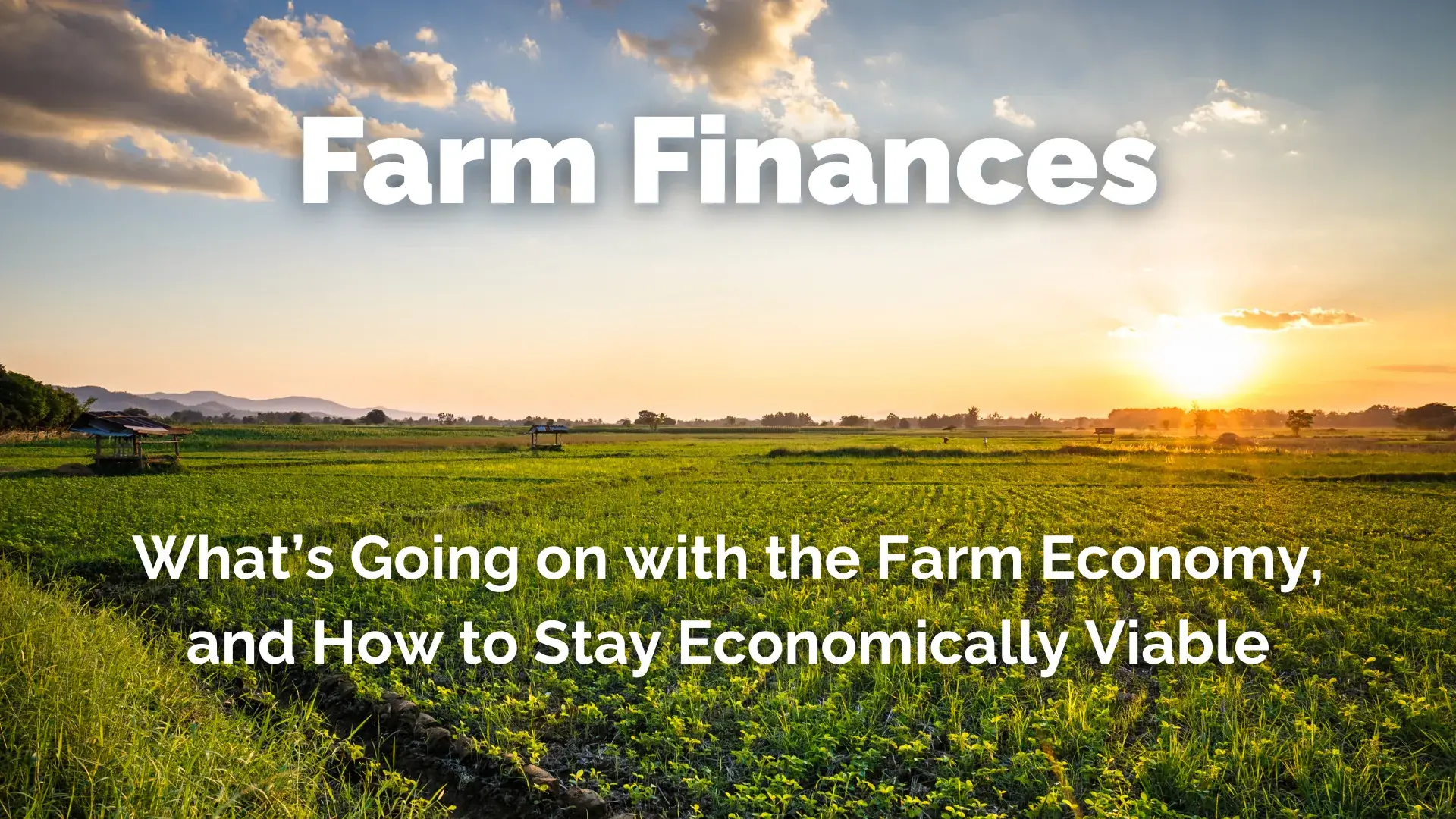 Farm Finances, What's going on with the farm economy and how to stay economically viable