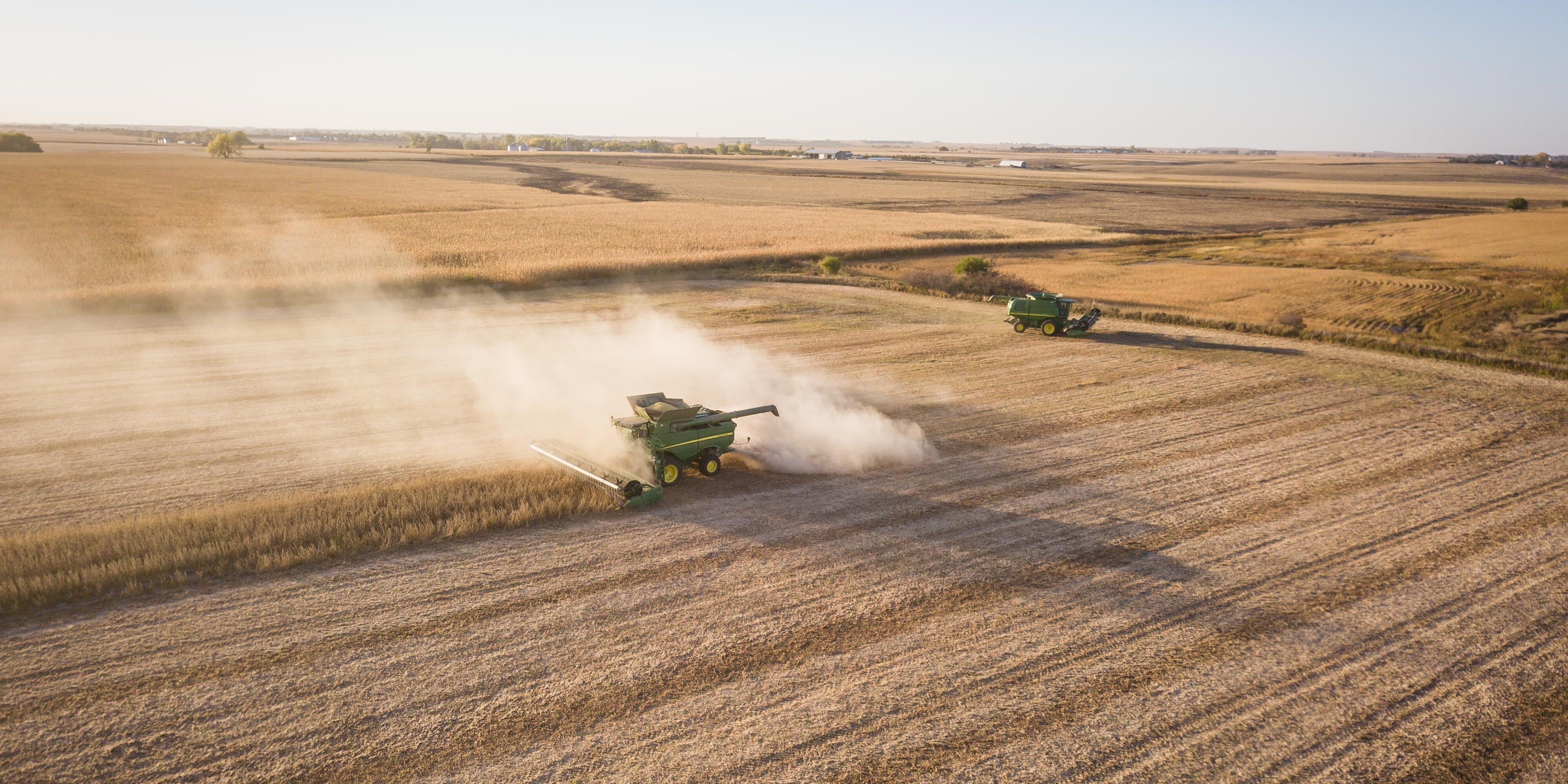 Wheat harvest